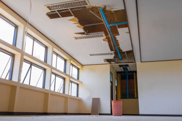 Best Ceiling water damage repair  in Mirrormont, WA