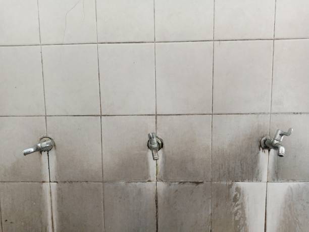 Best Water damage restoration near me  in Mirrormont, WA